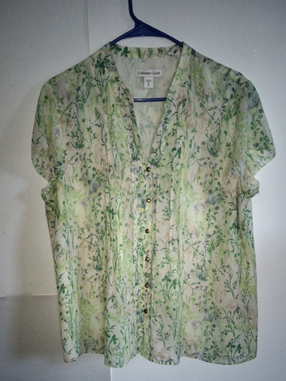 Coldwater Creek Light Green Floral Button-Front Blouse